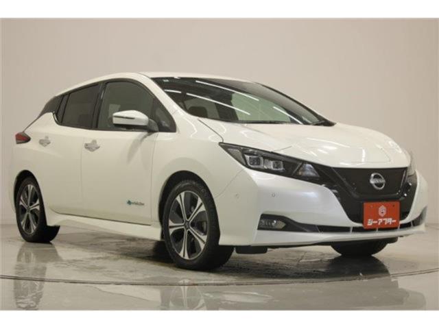 リーフ（新潟県新潟市東区）画像7