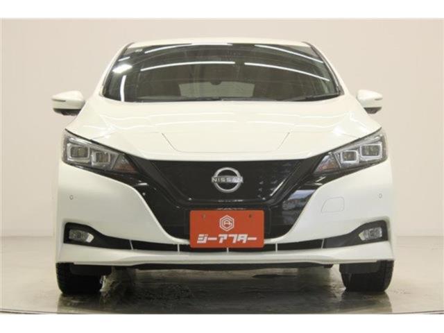 リーフ（新潟県新潟市東区）画像8