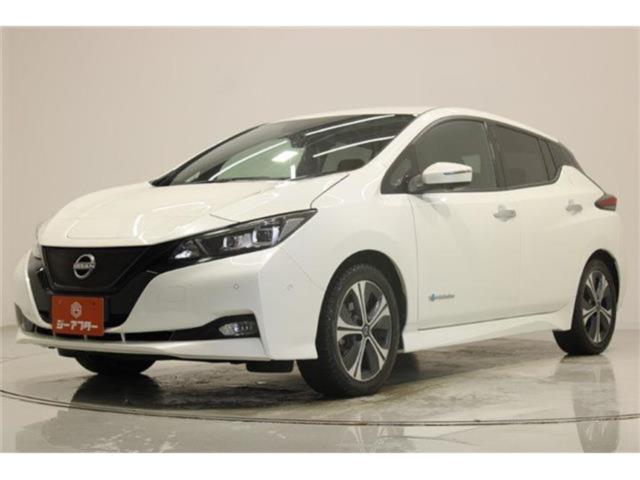 リーフ（新潟県新潟市東区）画像9