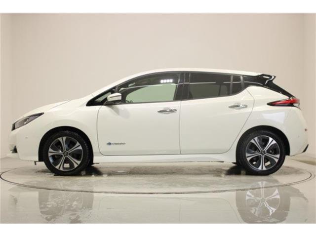 リーフ（新潟県新潟市東区）画像10