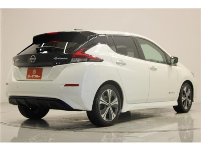 リーフ（新潟県新潟市東区）画像13