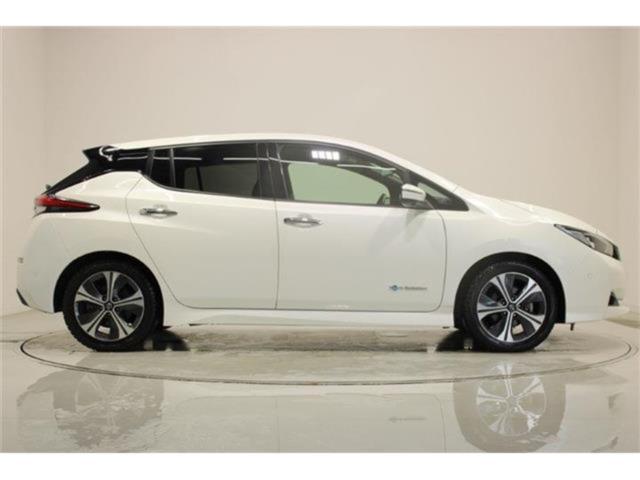 リーフ（新潟県新潟市東区）画像14