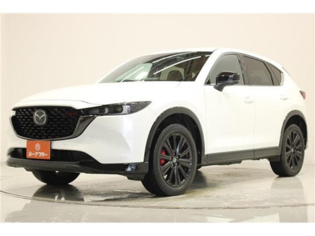 CX-5（新潟県新潟市東区）画像9