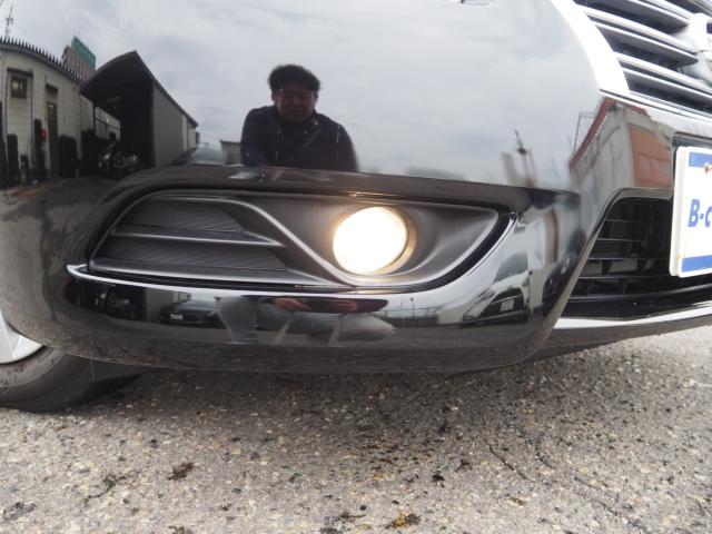 シルフィ（新潟県新潟市西区）画像26