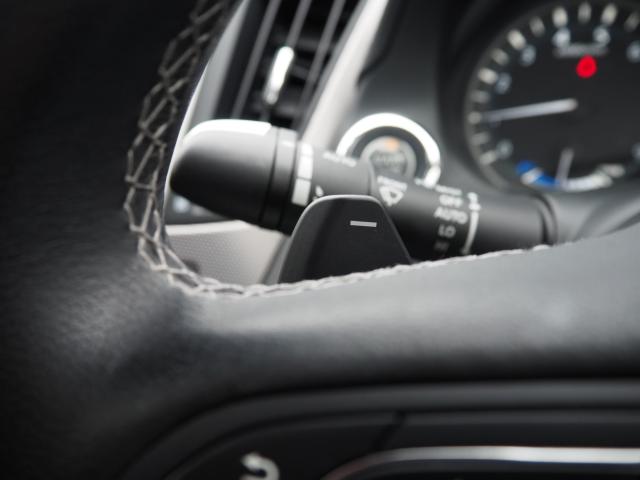 スカイラインハイブリッド（新潟県新潟市西区）画像13