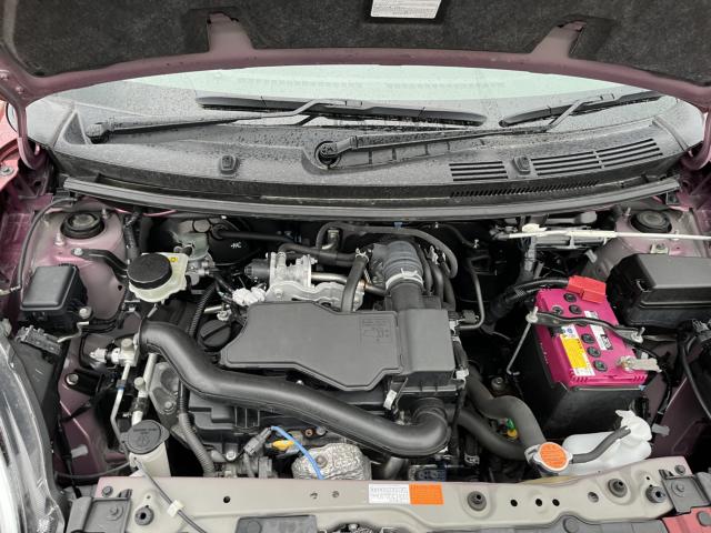 ブーン（新潟県新潟市西蒲区）画像10