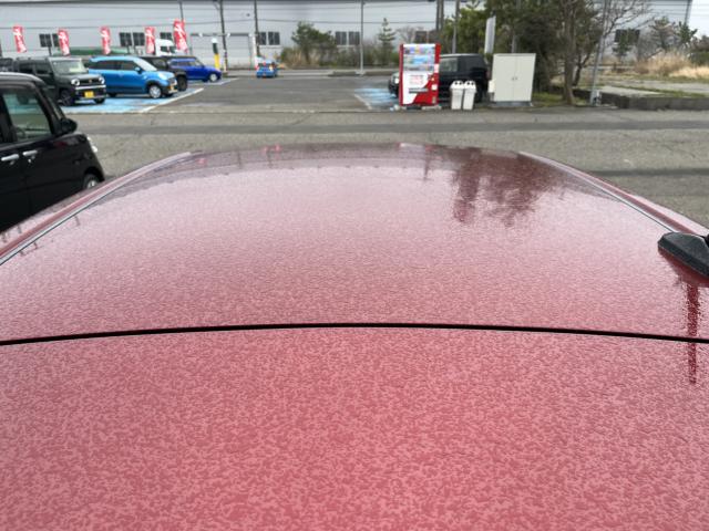 ブーン（新潟県新潟市西蒲区）画像31