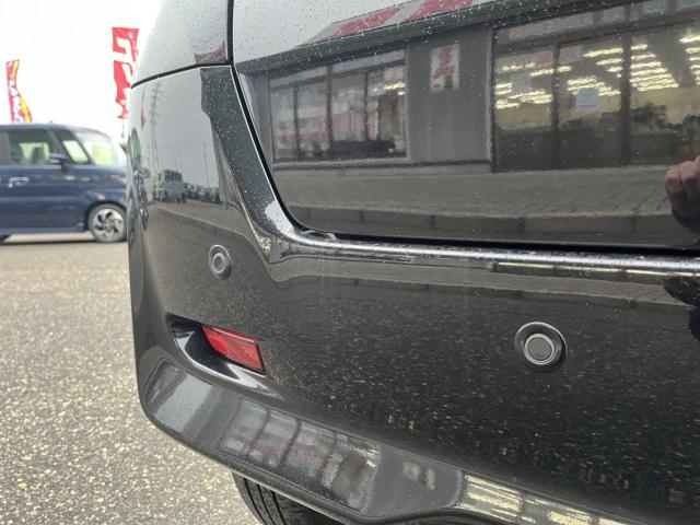 デイズルークス（新潟県新潟市西蒲区）画像29