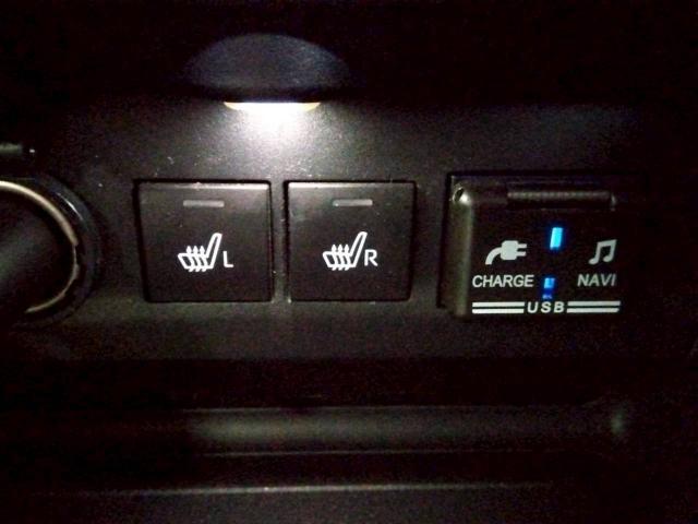 ロッキー（新潟県十日町市）画像39