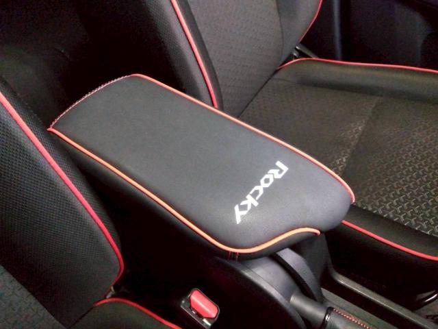 ロッキー（新潟県十日町市）画像42