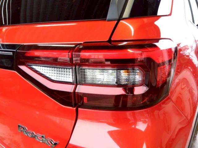 ロッキー（新潟県十日町市）画像51