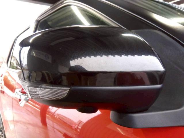 ロッキー（新潟県十日町市）画像53