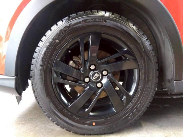 ロッキー（新潟県十日町市）画像55