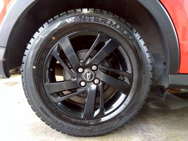 ロッキー（新潟県十日町市）画像57