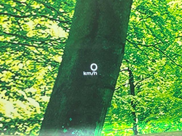 エクストレイル（新潟県長岡市）画像50