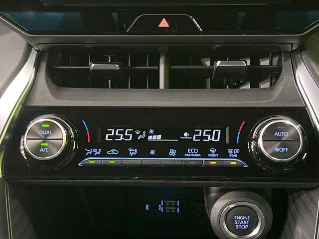 ハリアー（新潟県長岡市）画像29