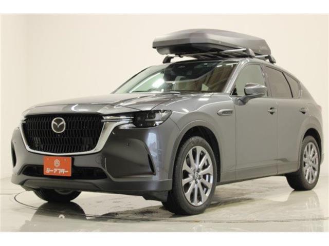 CX-60（新潟県新潟市東区）画像9