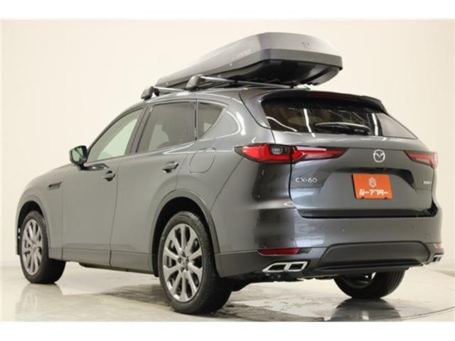 CX-60（新潟県新潟市東区）画像11