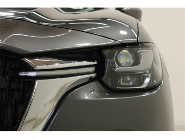 CX-60（新潟県新潟市東区）画像16