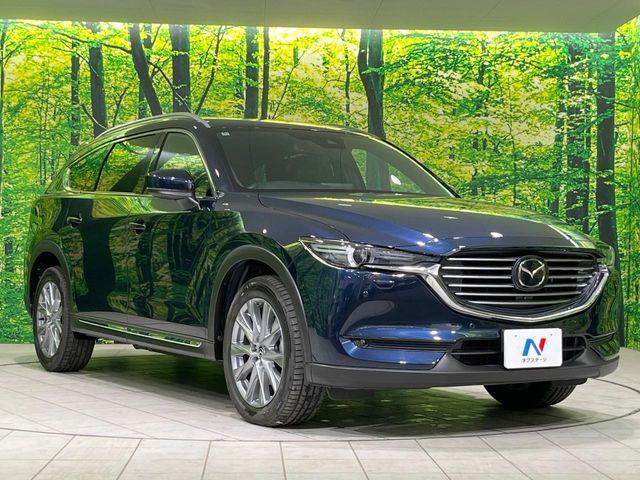 CX-8（新潟県長岡市）画像15