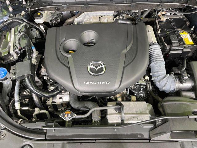 CX-8（新潟県長岡市）画像19