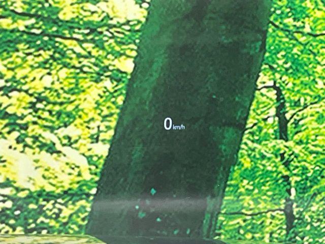 CX-8（新潟県長岡市）画像52