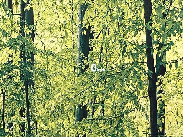 CX-5（新潟県新潟市南区）画像6