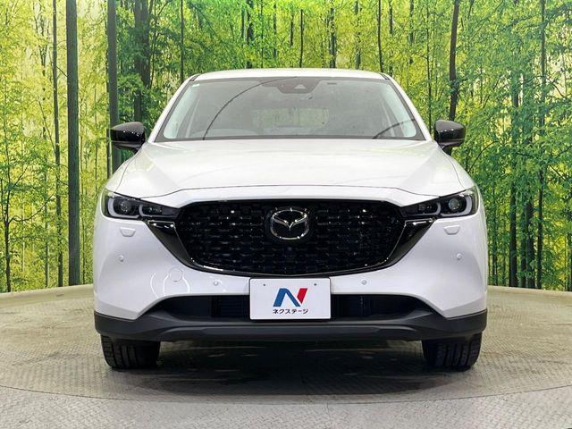CX-5（新潟県新潟市南区）画像15
