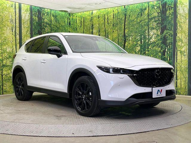 CX-5（新潟県新潟市南区）画像17