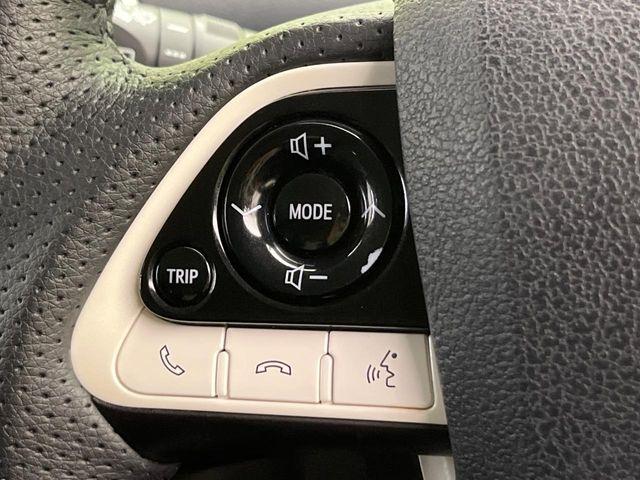 プリウス（新潟県新潟市南区）