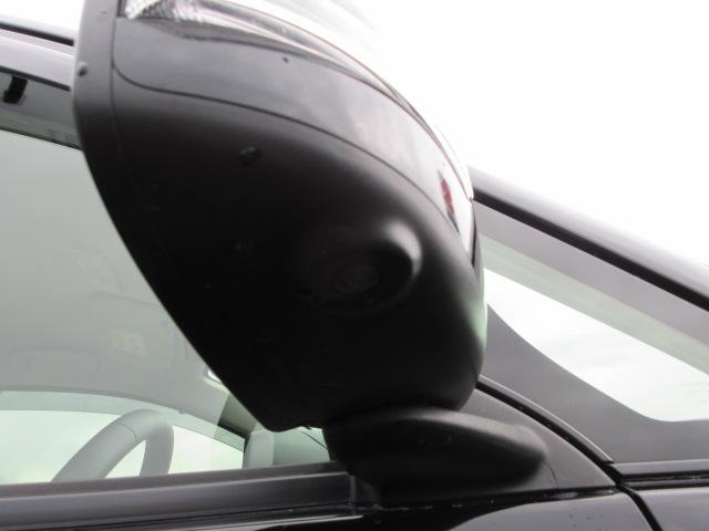 デイズ（新潟県柏崎市）画像30