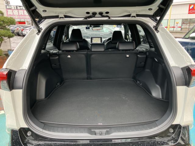 RAV4 PHV（新潟県長岡市）