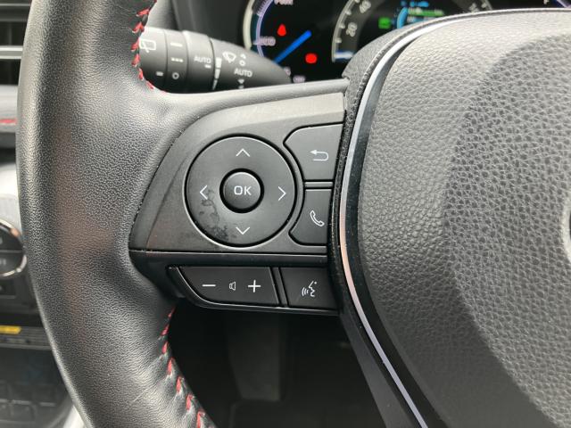 RAV4 PHV（新潟県長岡市）