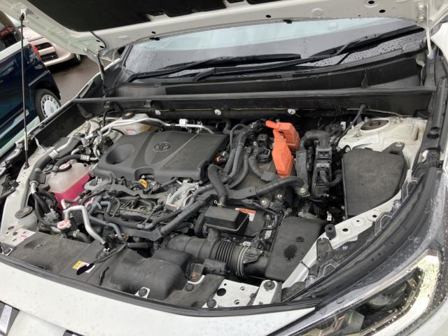 RAV4 PHV（新潟県長岡市）