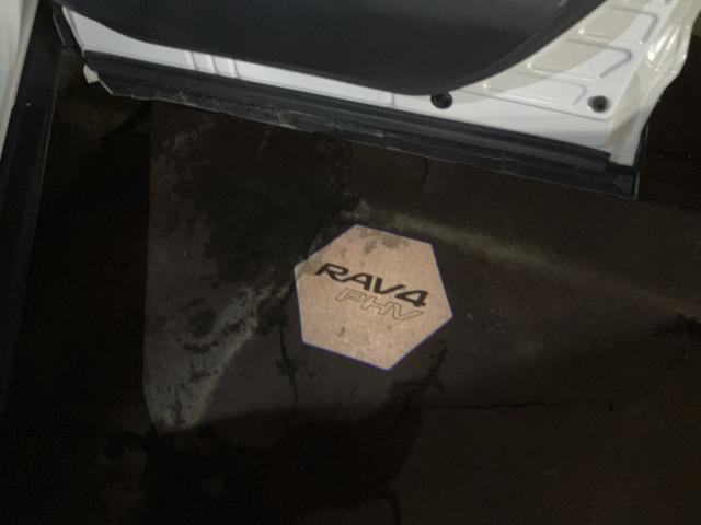 RAV4 PHV（新潟県長岡市）