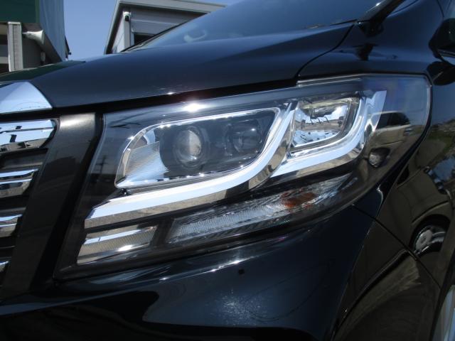 アルファード（新潟県新潟市南区）