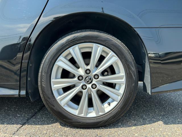 アルファード（新潟県新潟市南区）