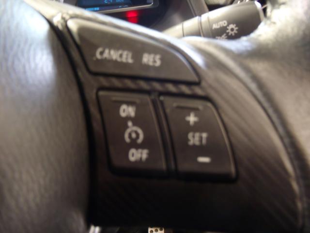 デミオ（新潟県新発田市）画像12