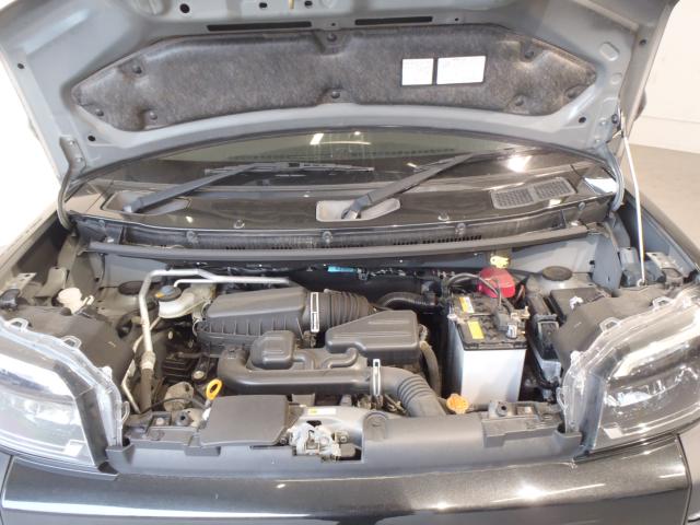 タフト（新潟県新発田市）画像14