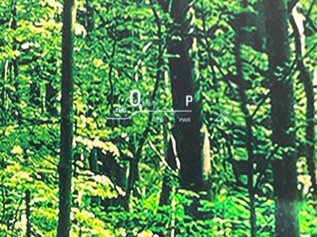 ハリアーハイブリッド（新潟県長岡市）画像32