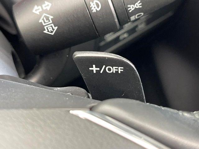 アクセラスポーツ(新潟県新潟市東区)