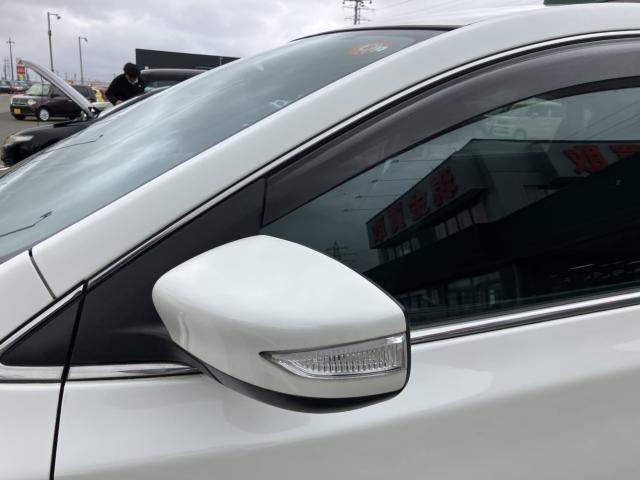 シルフィ（新潟県新潟市西蒲区）画像26