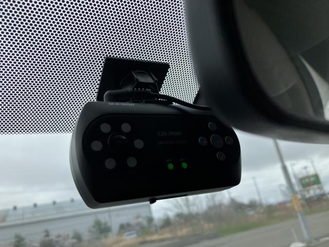 シルフィ（新潟県新潟市西蒲区）画像45