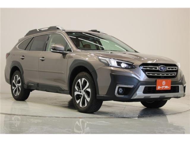 アウトバック（新潟県新潟市東区）画像8