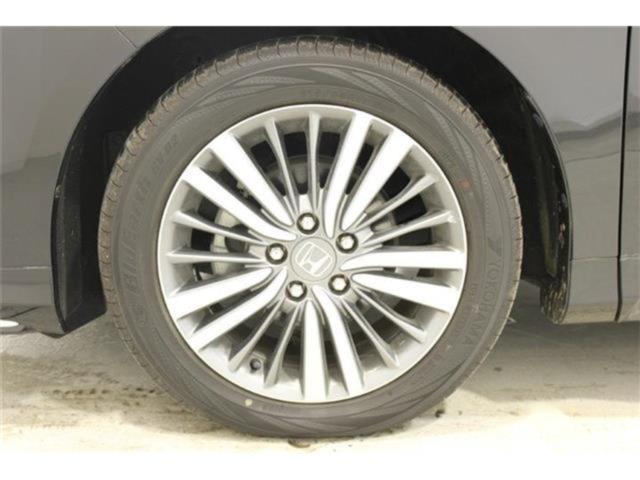 オデッセイ（新潟県新潟市東区）画像26