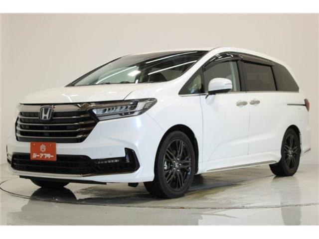 オデッセイ（新潟県新潟市東区）画像10