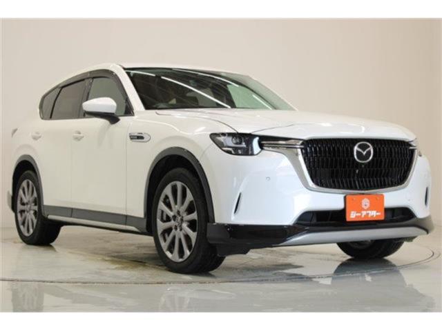 CX-60（新潟県新潟市東区）画像8