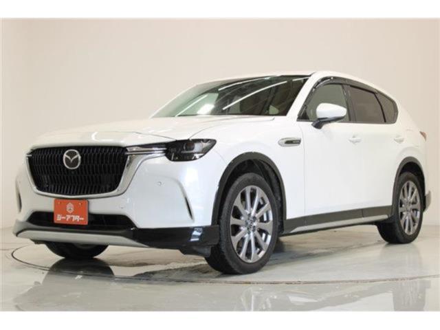 CX-60（新潟県新潟市東区）画像10