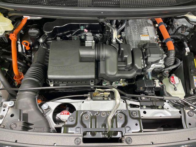 フリード（新潟県長岡市）画像20