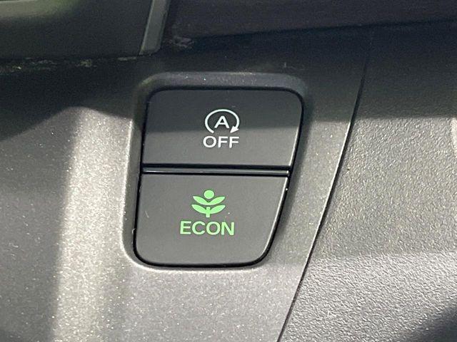 フリード(新潟県長岡市)